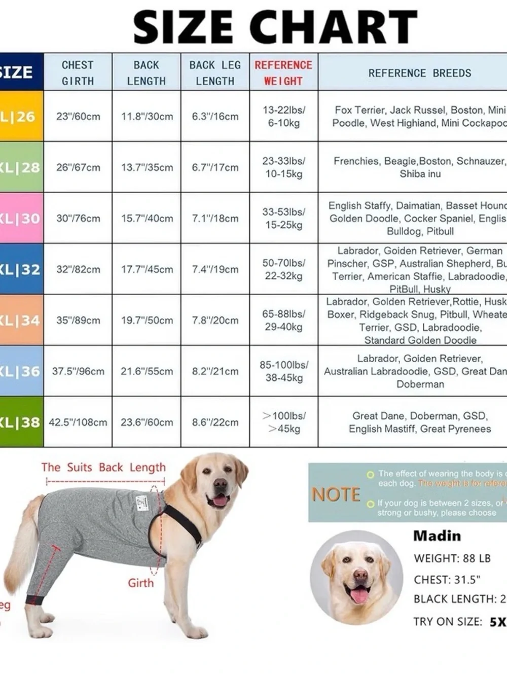 Gray Full-Coverage Dog Recovery Suit - Comfortable Post-Surgery Apparel
